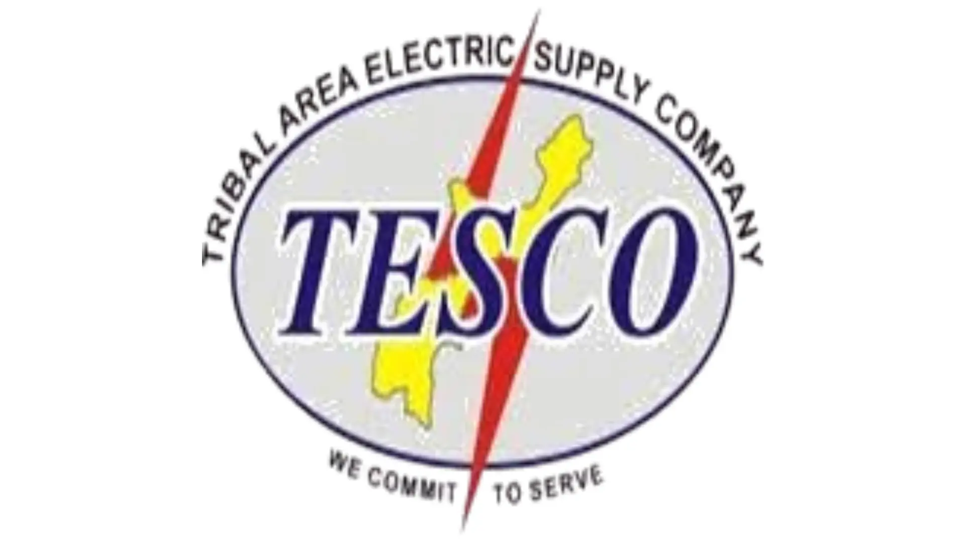 Online Bill Check | Download and Pay Electricity Bill, Gas Bill in 2026 TESCO logo