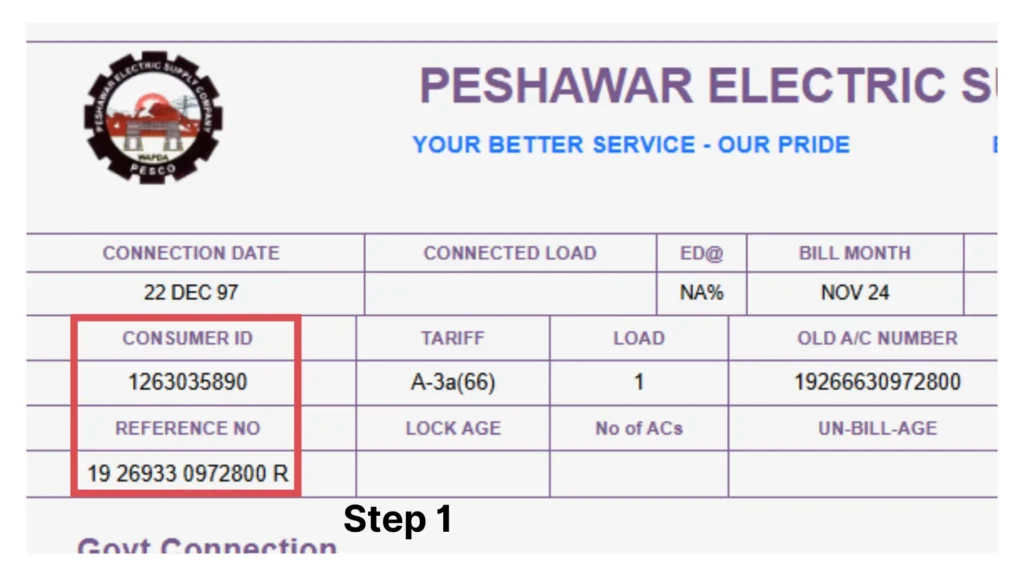 Duplicate PESCO Online Bill