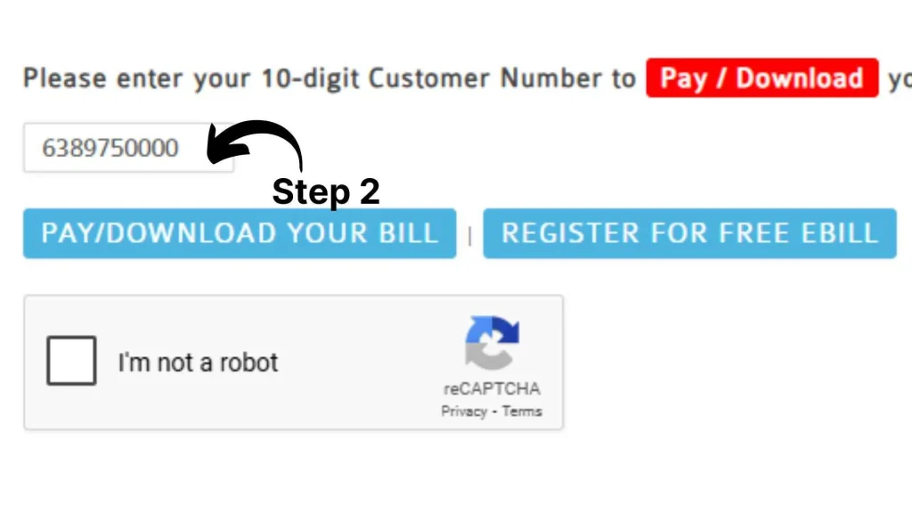 Download SSGC Bill