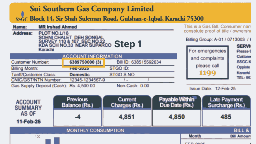 SSGC Duplicate Bill